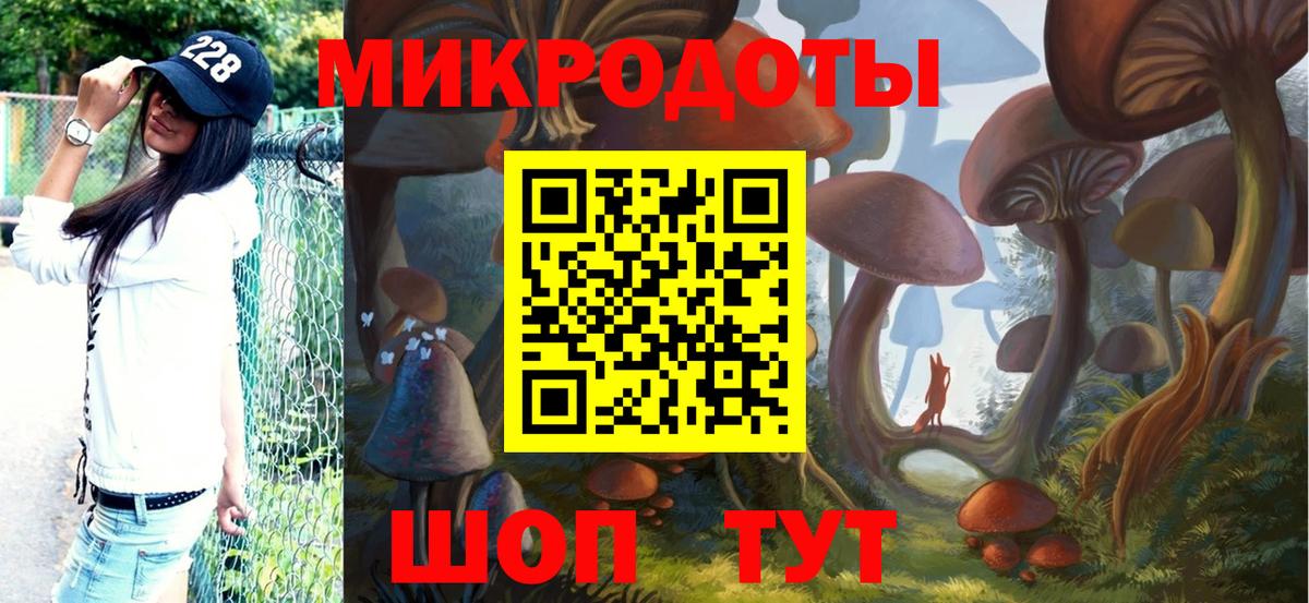 Псилоцибиновые грибы Psilocybine cubensis Серпухов