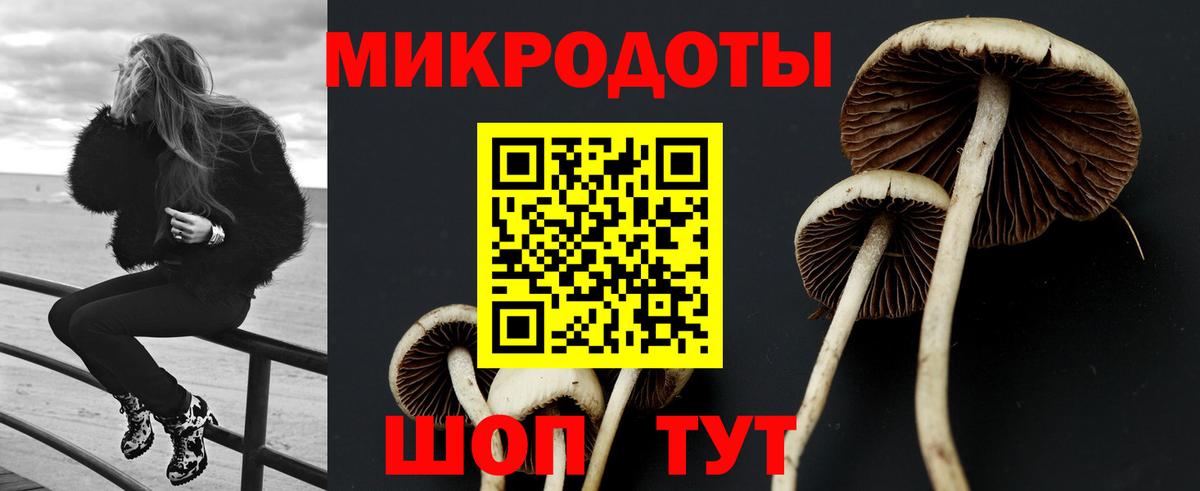 Серпухов  Псилоцибиновые грибы ЛСД  Вход с VPN 